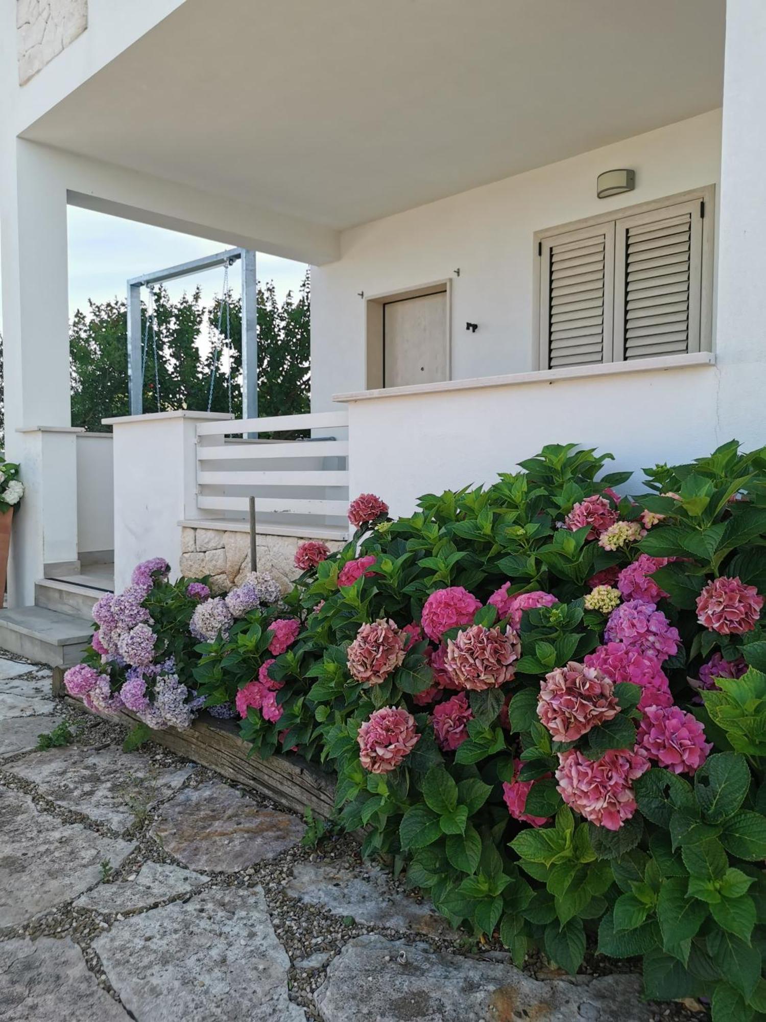 Vill'Aura Daire Vieste Dış mekan fotoğraf