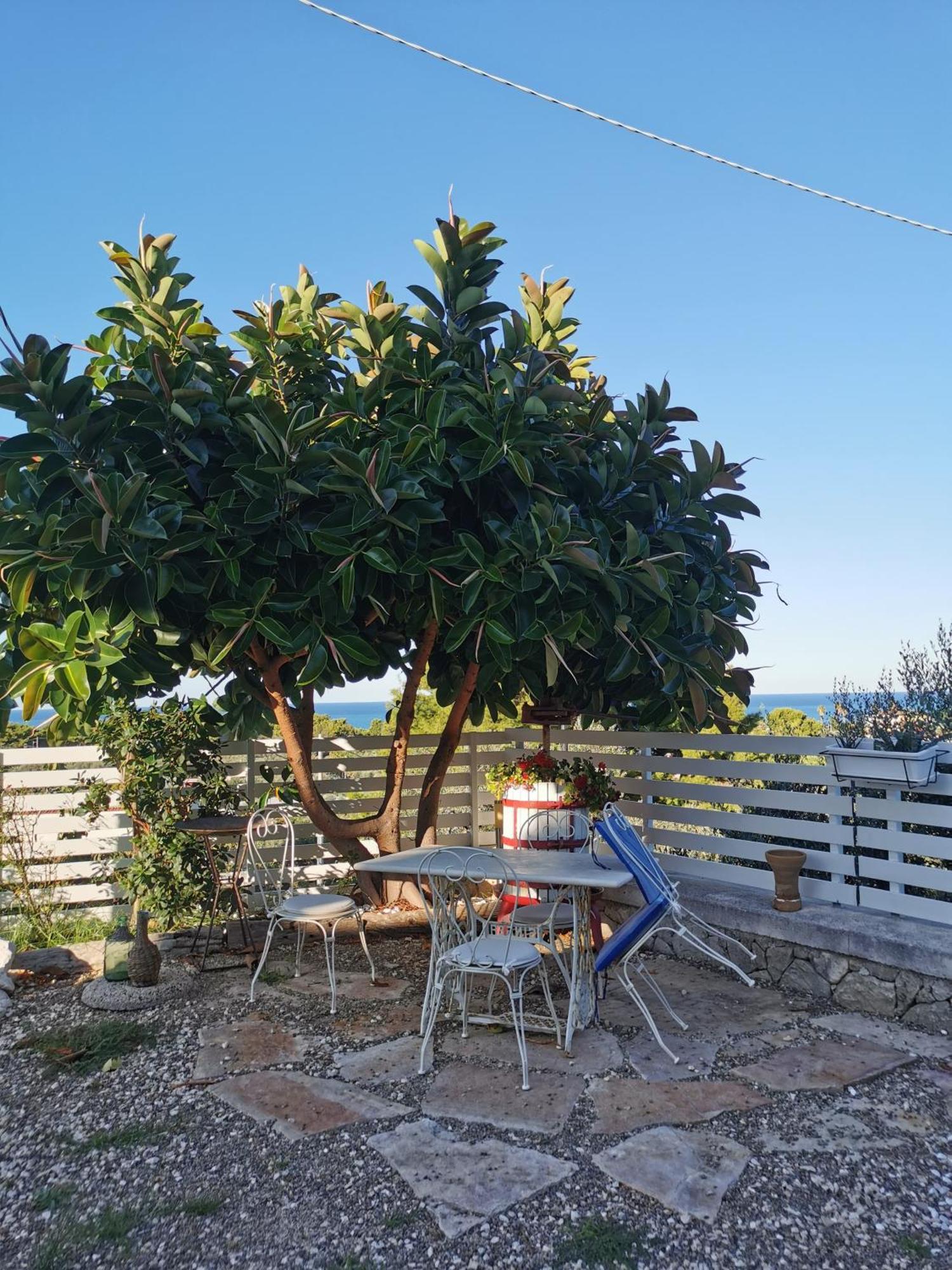 Vill'Aura Daire Vieste Dış mekan fotoğraf